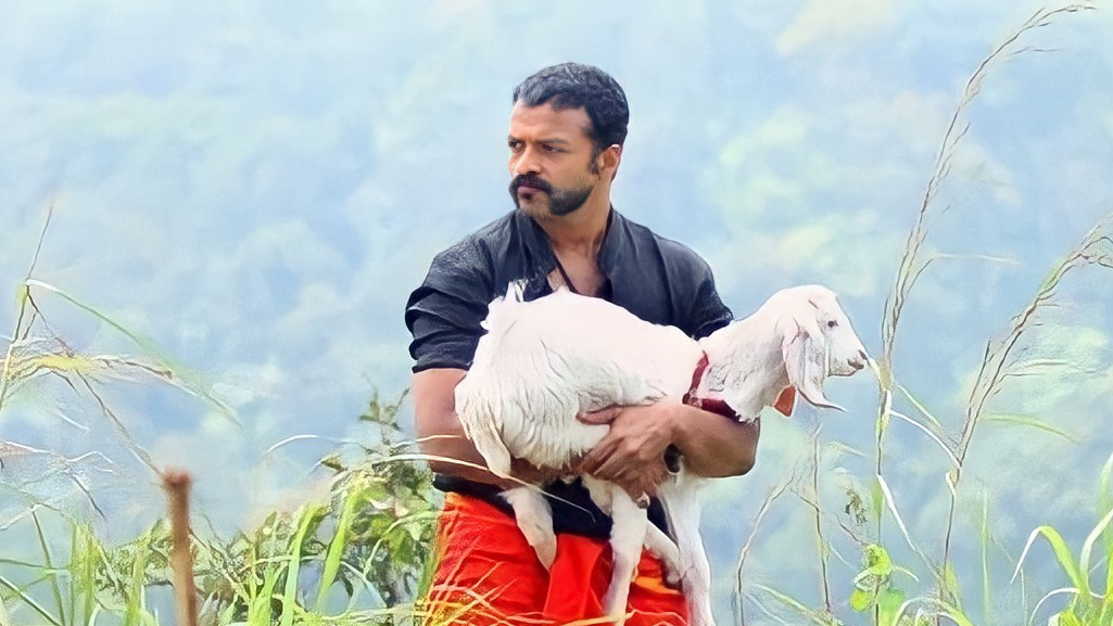 അവളുടെ പ്രസവം കഴിയുന്നതോടെ മണിക്കുട്ടൻ ഇത്തിരി കൂടെ വളരും.. അപ്പോ മാളുവിനെ ആർക്കെങ്കിലും….